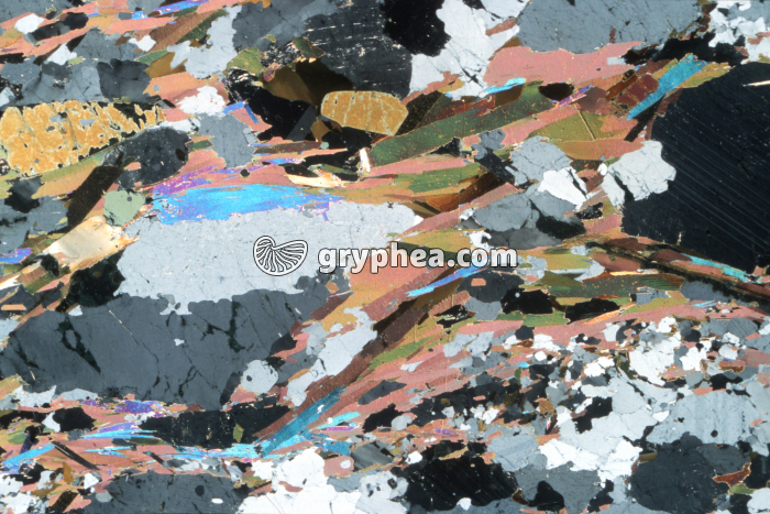 Gneiss 375  LPA x3 - gryphea.com